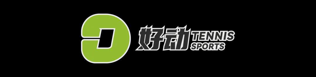 英超德甲数据-墨尔本公园的第100胜！德约科维奇的又一里程碑